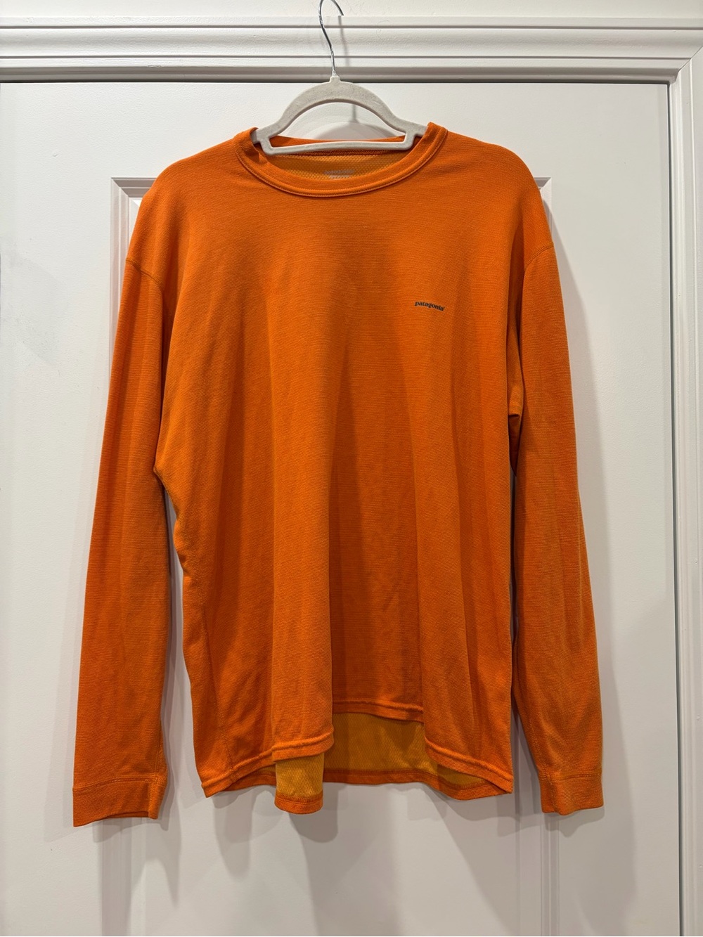 Patagonia Long-Sleeve Capilene Shirt—